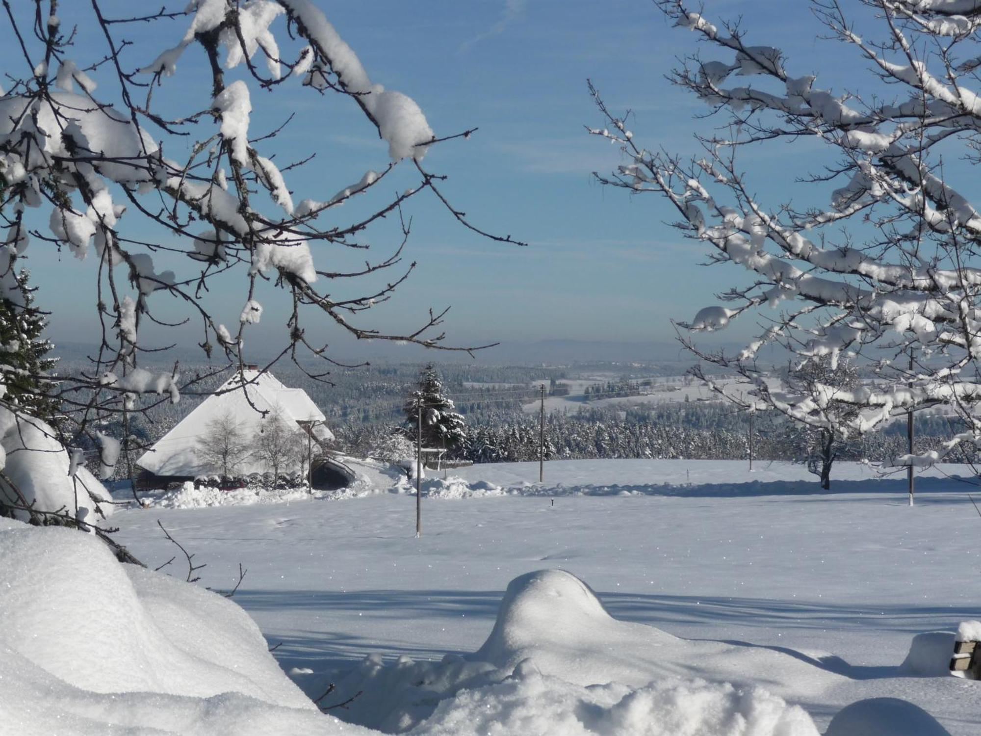 Hoehenpension Glashuette Bed&Breakfast Fruehstueckspension Hotel Garni ボンドルフ・イム・シュヴァルツヴァルト エクステリア 写真