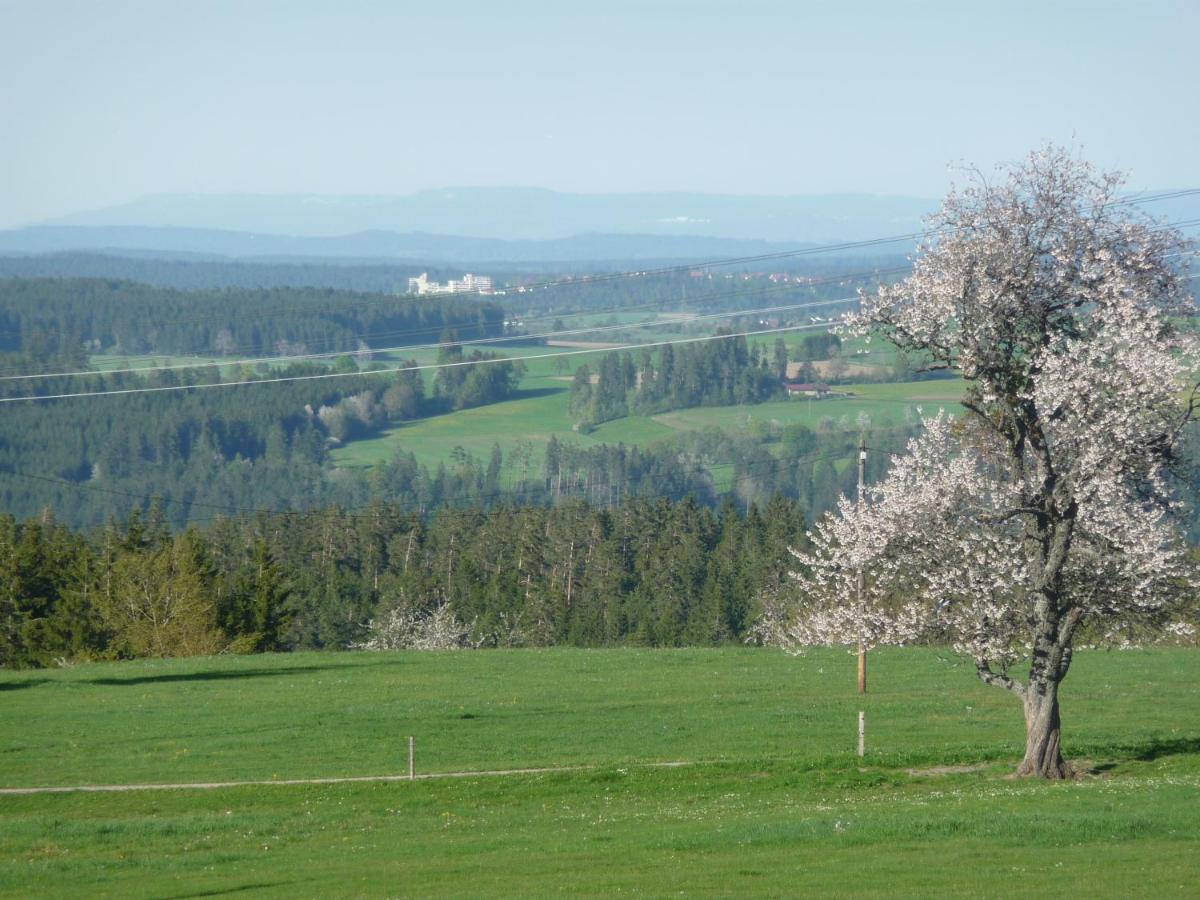 Hoehenpension Glashuette Bed&Breakfast Fruehstueckspension Hotel Garni ボンドルフ・イム・シュヴァルツヴァルト エクステリア 写真