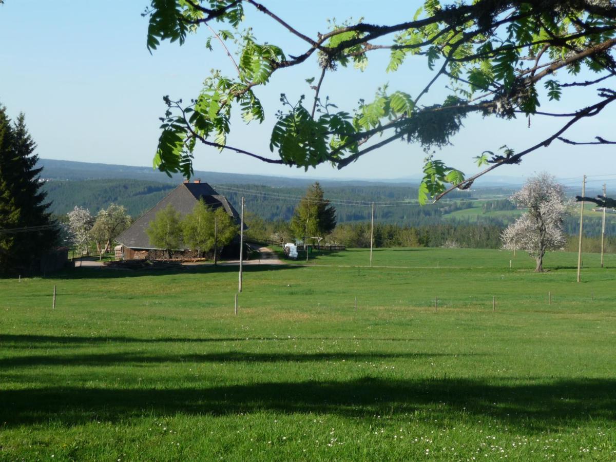 Hoehenpension Glashuette Bed&Breakfast Fruehstueckspension Hotel Garni ボンドルフ・イム・シュヴァルツヴァルト エクステリア 写真